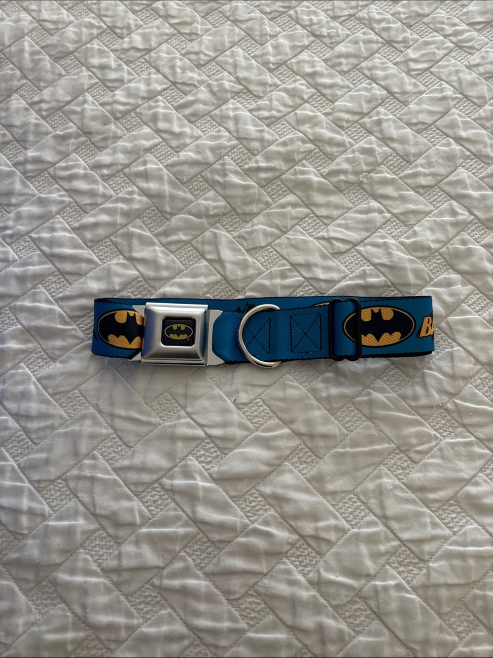 Batman Logo Blue Seatbelt-Style Dog Collar